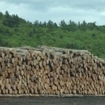 2-Log-Yard