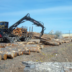 5-Crane-unloading-in-log-yard