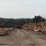 Scaling in Log Yard