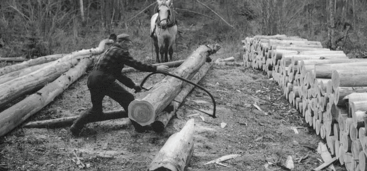 Old Wood Saw