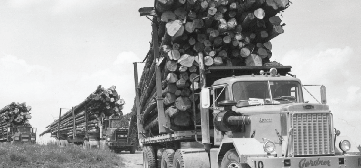 Old Logging Trucks